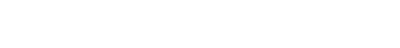 Corporate Vision